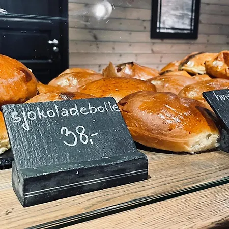 Highland Fjellandsby - 3105 גיילו